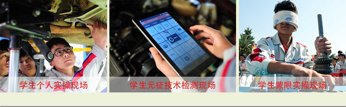 实战实操真项目