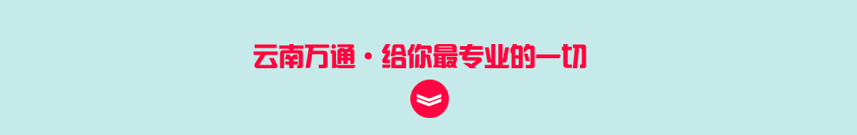 万通给你最专业的一切