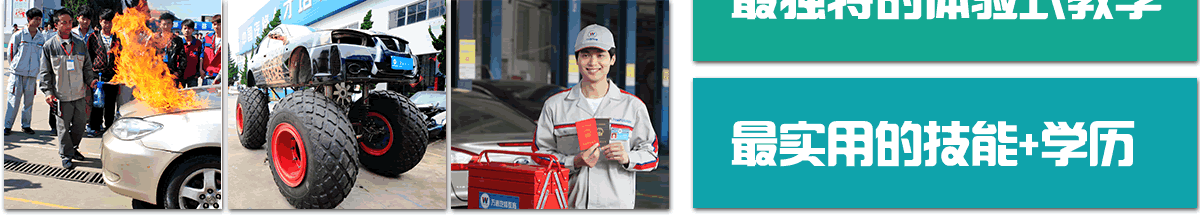 万通给你最专业的一切