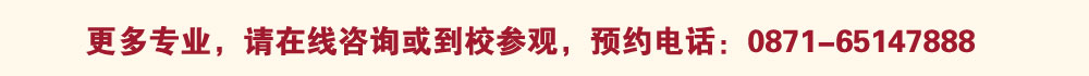 更多专业，请到校参观