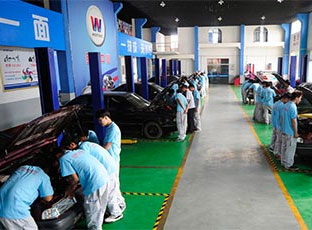 汽车维修与服务（中专）