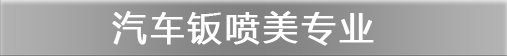 汽车钣喷美专业