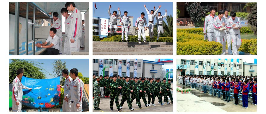 职业精神和职业技能高度融合