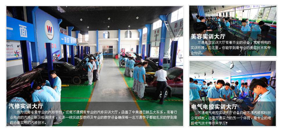 隶属全国著名的新华教育集团，实力雄厚