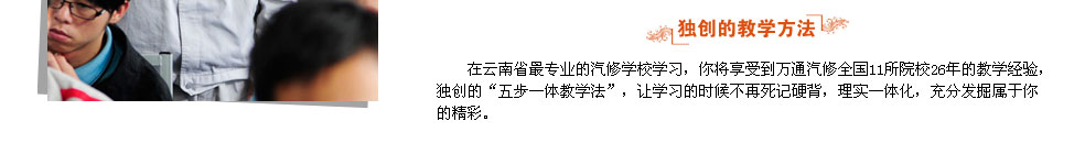 隶属全国著名的新华教育集团，实力雄厚