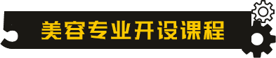 汽车美容开设课程
